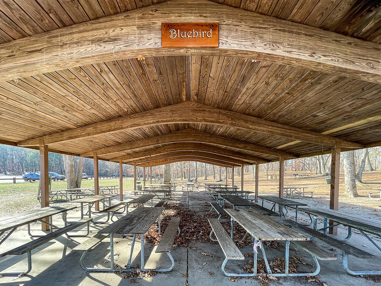 Park picnic shelter